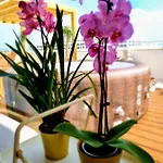 Penthouse Rentalbufeira Albufeira