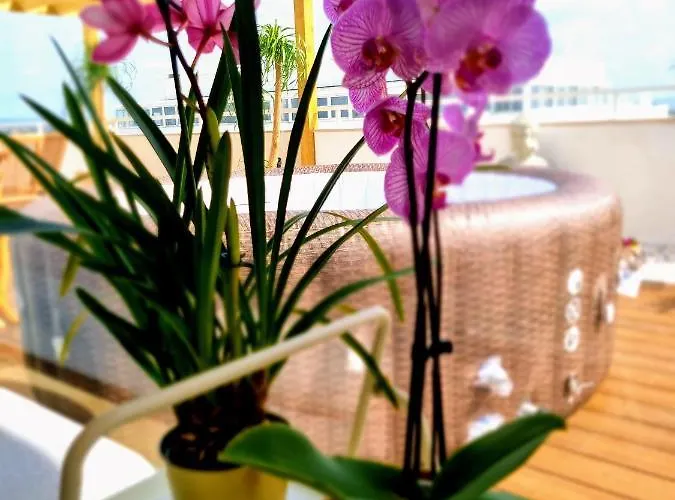 Penthouse Rentalbufeira אלבופיירה